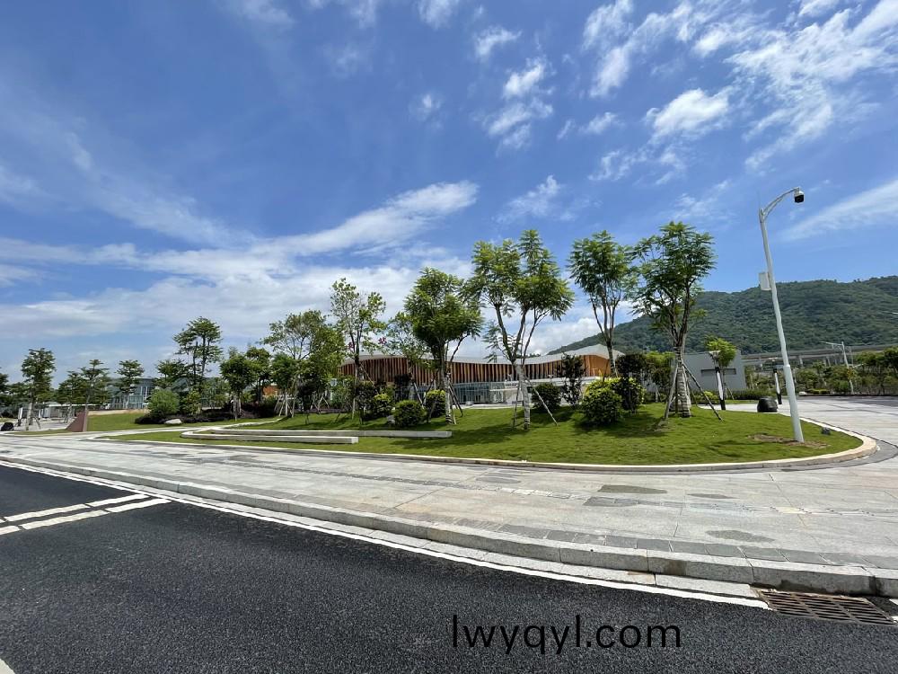 高鐵站綠(lv)化(hua)案例(li)
